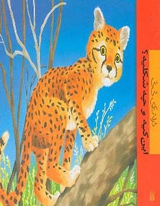 این کیه و چه شکلیه