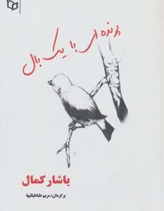 کتاب پرنده ای با یک بال