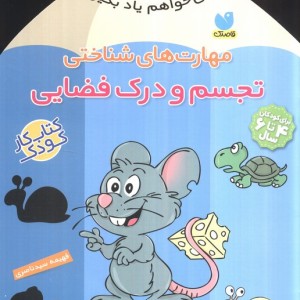 مهارت های شناختی تجسم و درک فضایی