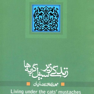 زندگی زیر سبیل گربه ها