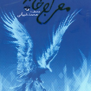 معراج خاکستر