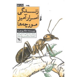 کتاب زندگی اسرارآمیز مورچه ها