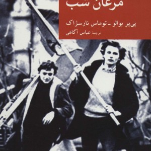 مرغان شب