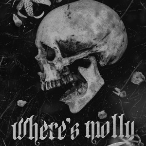 دانلود رمان Where’s Molly اثر H.D. Carlton زبان اصلی