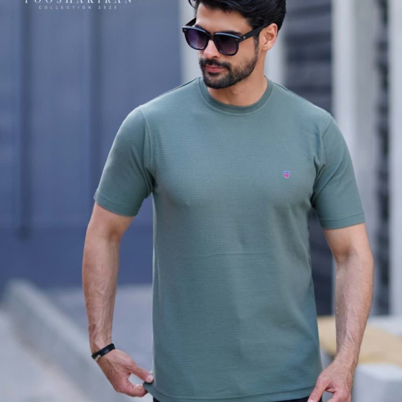 تیشرت پنبه بیسکوییتی آستین کوتاه آرتا۹۴۶(گانت)