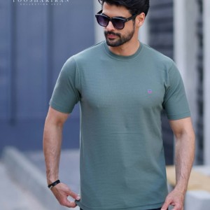 تیشرت پنبه بیسکوییتی آستین کوتاه آرتا۹۴۶(گانت)