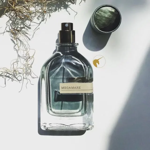 عطر گرمی اورتو پاریسی مگاماره برند آنایو