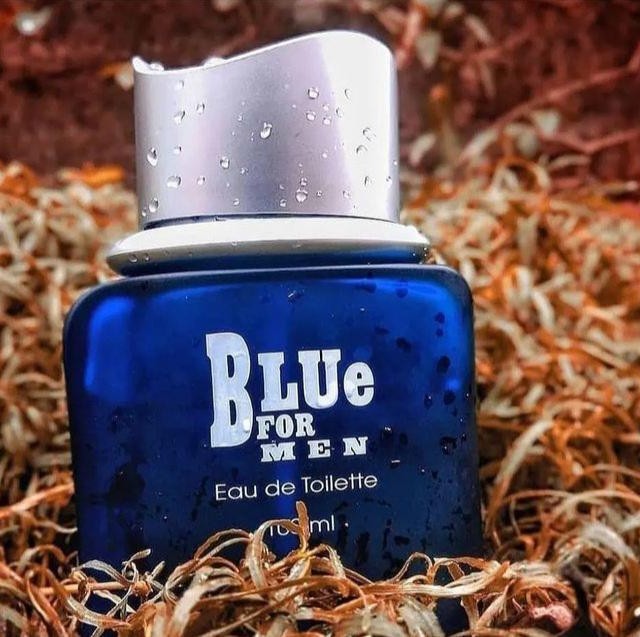 عطر گرمی بلو فورمن Blue for Men