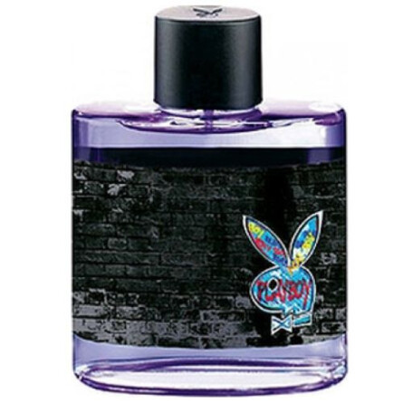 عطر گرمی پللی بووی نیویورک