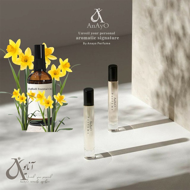 عطر گرمی گل نرگس (نارسیس)