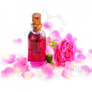 عطر گرمی گل محمدی ژیودان