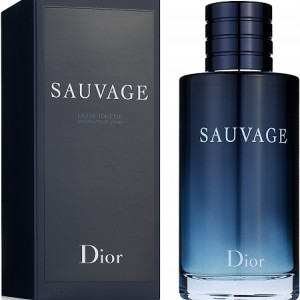 عطر ادکلن دیور ساواج ادوتویلت 100ml (کپی)