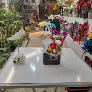 پک اقتصادی ولنتاین با گل و عروسک کد B8 برند آنایو