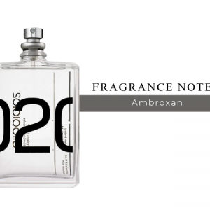 عطر گرمی مولکول برند آنایو