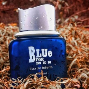 عطر گرمی بلو فورمن Blue for Men