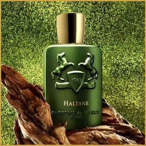 اسانس پرفیوم پلاس مدل محشر هالتان