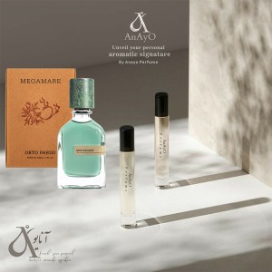 اسانس چرب از عطر ادوپرفیوم مردانه مدل اسمارت کالکشن مدل مگاماره رایحه تلخ