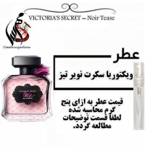ادکلن ویکتوریا سکرت 100میل tease کد ۳۰۳۰