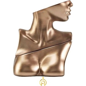 عطر و اسانس ادوپرفیوم زنانه مشابه وایکینگ مدل بیلی آیلیش طلایی حجمی میلی