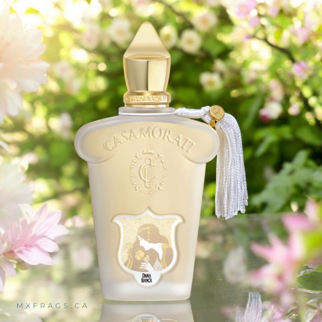 عطر ادکلن زرجف کازاموراتی دامابیانکا 100میل XERJOFF Casamorati Dama Bianca