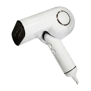 بخارگر دلمونتی مدل DL-960