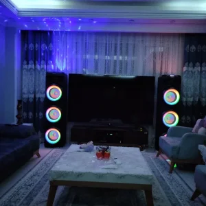اسپیکر خانگی دنای مدل DE-DA3010DJ4 دیجی دار