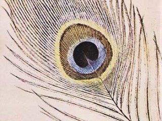 کتاب طاووس