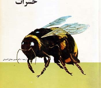 کتاب حشرات