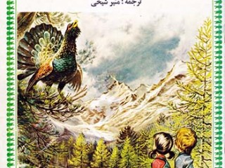 کتاب جانی و سوفی در کوهستان