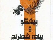 کتاب پیشگو و پیاده شطرنج
