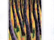 کتاب ماه و کتان