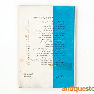 کتاب کرشمه های عاشقانه