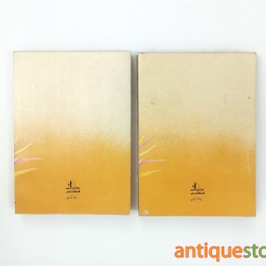 کتاب گردباد ( 2 جلدی )