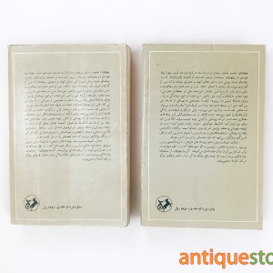 کتاب بینوایان ( 2 جلدی )