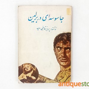 کتاب جاسوسه ای در برلین