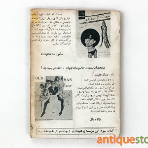 کتاب مامور ما فلینت
