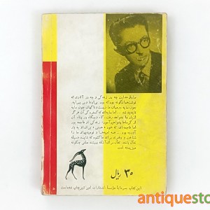 کتاب نظریات نویسندگان بزرگ خارجی درباره صادق هدایت ، زندگی و آثار او