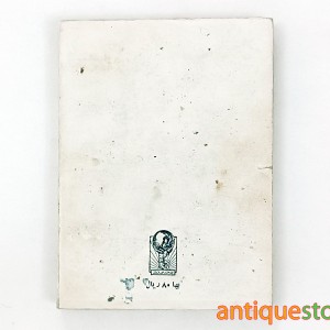 کتاب حادثه‌ای در ویلا