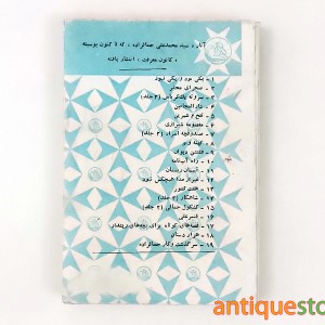 کتاب دار المجانین