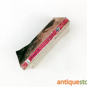 کتاب مرد کرایه ای