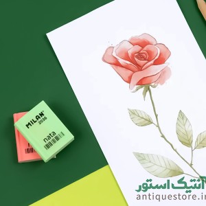 پاک کن کتابی میلان