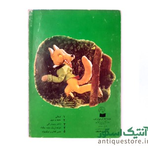 کتاب دختر روپوش گلی