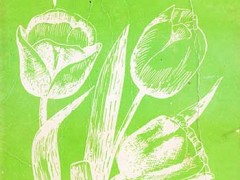 کتاب شهین و چند مقاله دیگر