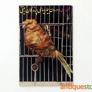 کتاب نگهداری و درمان بیماریهای پرندگان زینتی