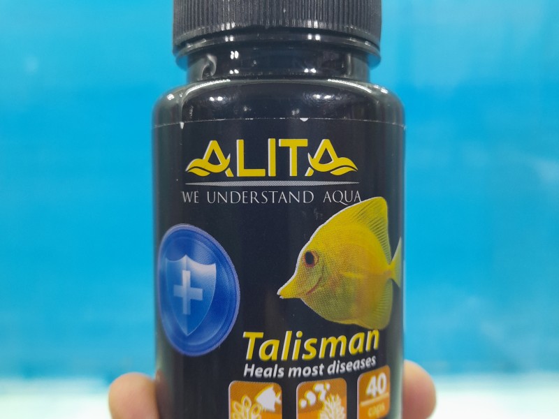 داروی تالیسمان کپسول 40 تایی آلیتا