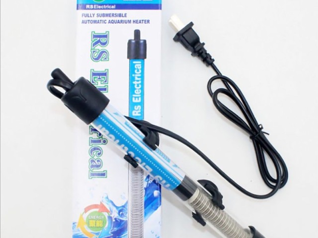 شرایط دمایی آکواریوم