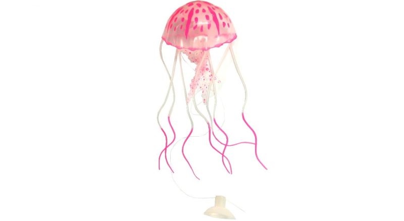 عروس دریایی رنگی مدل Fluorescent سایز متوسط