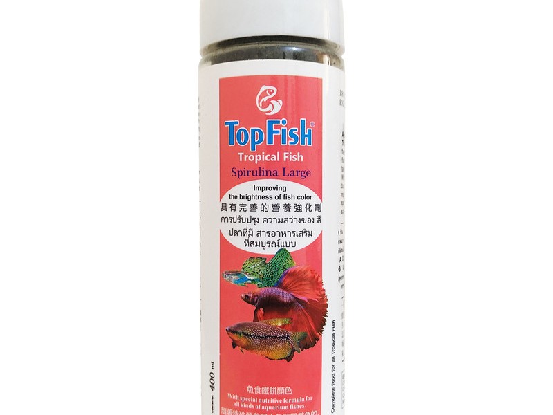 غذا ماهی تاپ فیش وزن 250 گرم مناسب ماهیان گیاه خوار