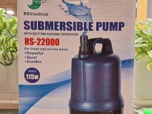 واتر پمپ آر اس الکتریکال  RS-22000