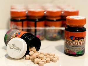 غذای ماهی قرصی  آرتمیا دکپسوله